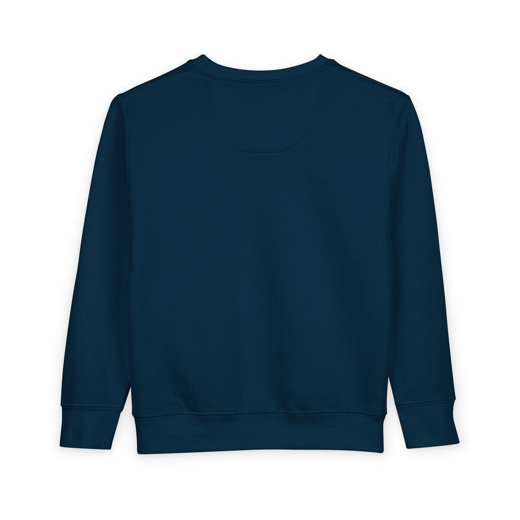 Toddler Sweatshirt - "The Heart" Red Heart Graphic Cozy Kids Pullover (Valentine's Day)