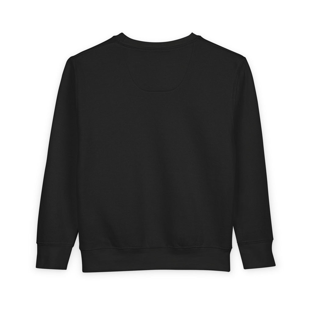 Toddler Sweatshirt - "The Heart" Red Heart Graphic Cozy Kids Pullover (Valentine's Day)